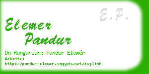 elemer pandur business card